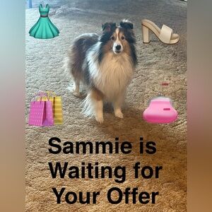 Reasonable Offers Welcomed